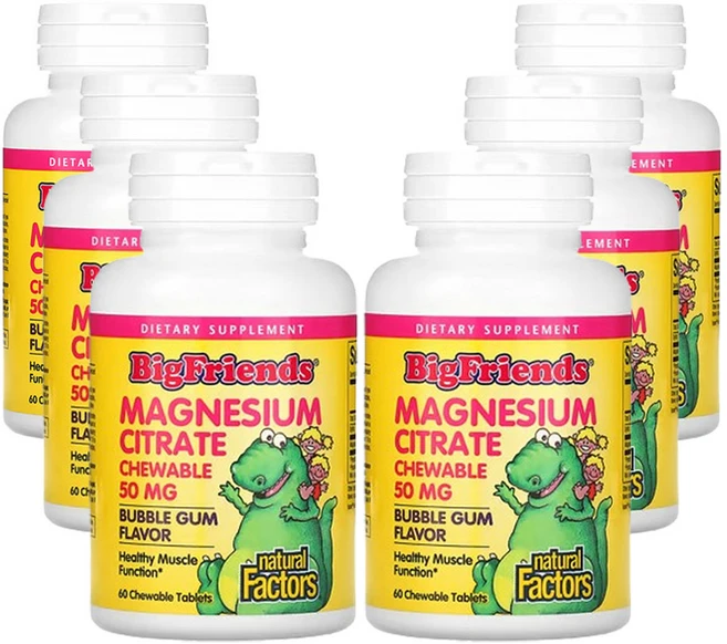 네추럴팩터스 빅프렌즈 구연산마그네슘 풍선껌맛 50mg 60 츄어블정제 6팩, 6개, 60정 - 쿠팡