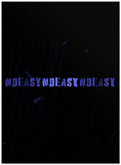 스트레이키즈 앨범 노이지 NOEASY 일반반 (B 타입 퍼플 버전) 정규 2집 소리꾼 STRAYKIDS 음반 미개봉