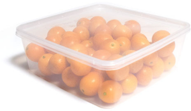 [더착한팩] T-SQ5 사각 내열 도시락 용기 30개, T-SQ5_30개