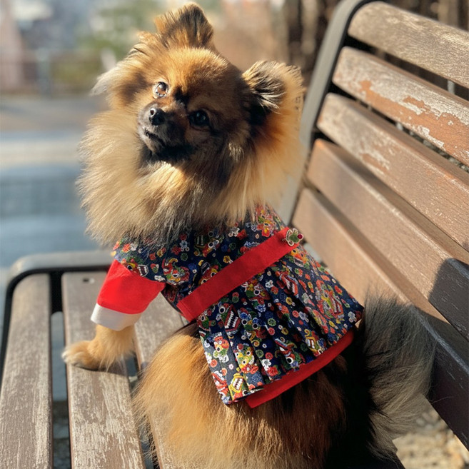 다홍아씨 강아지 생활 한복 꽃비도깨비 철릭 (남아) - 추석 설빔 생일 선물, 1개, 꽃비도깨비 - 남아