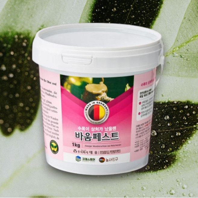 천연성분 나무연고 나무상처치료 바움페스트, 1kg, 1세트