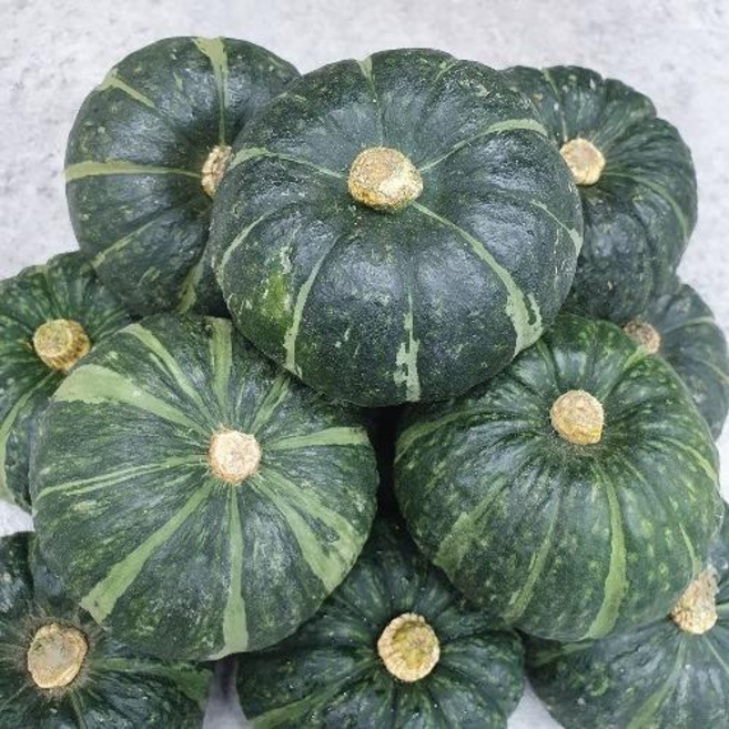 [특품] 국내산 미니밤호박 보우짱 해남 영암 함평 등 전라도산 밤호박 1kg 2kg 3kg, 밤호박1kg, 1개, 밤호박1kg