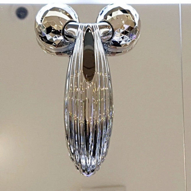 리파 S 캐럿 레이 ReFa 롤러 마사지 페이스 이영애 카사업, 일본에서 수입한 가짜 상품 1개는 4배 보상입찰 불필요