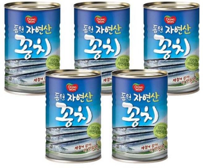 동원 자연산 꽁치 300g 5캔