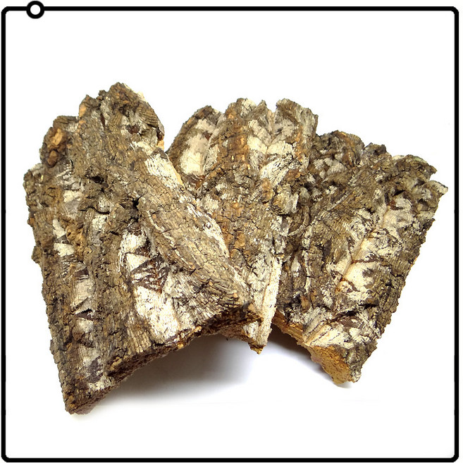 코르크보드[롱] 콜크보드 참나무 껍질 굴피 인테리어소품 테라리움소품 데코나무, 롱[폭15cm높이:55cm~]