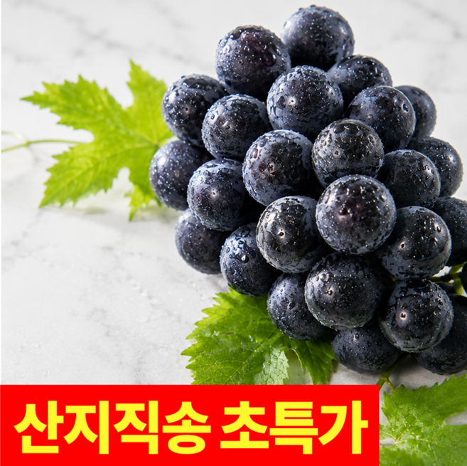 [초특가] 국내산 제철왕포도 고당도 거봉, 1박스, 1kg