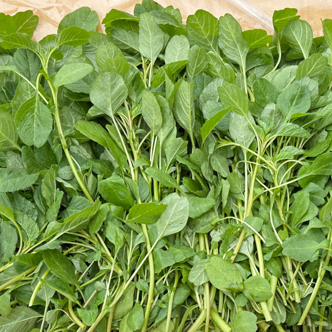 대아프레시 야채 아저씨네 국내산 고소한 풍미 부드러운 비름나물 300g 500g 1kg 2kg 4kg, 1박스