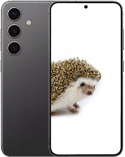 삼성전자 갤럭시 S 24 새상품 미개봉, 256GB, 오닉스 블랙 색상 선택하기