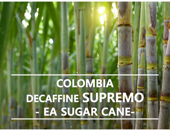 어라운드트레이딩 디카페인 콜롬비아 슈가케인 생두, 1개, 1kg