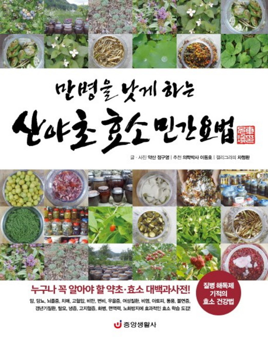 만병을 낫게 하는 산야초 효소 민간요법:질병 해독제 기적의 효소 건강법, 중앙생활사, 정구영