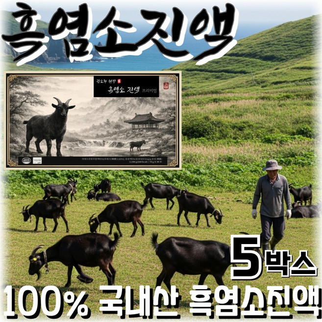 국산 흑염소 진액100% / 12세트 구매시 홍성호 울릉도 마가목 흑염소진액 사은품, 5세트, 70g