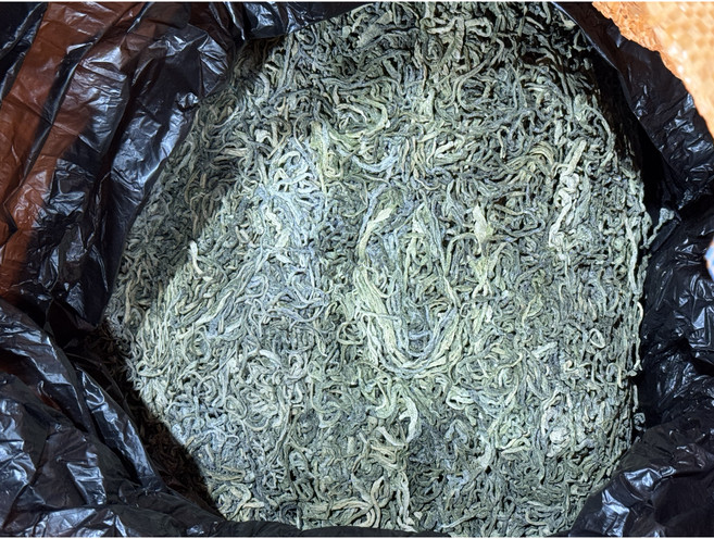 갯마을상회 2025 완도 햇청각 건청각 500G, 1개