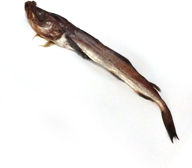 [대국맛짱] 새로운 맥주안주 반건조 쫀득쫀득 연변 쫀득이 [연변짝태 이상맛] 한봉10마리 (소) (일요일&당일발송), 1개, 1.2kg