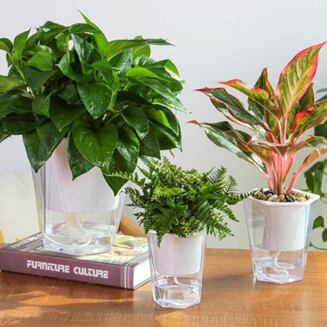 클리어 육각 자동급수 화분 키우기 세트 (흙 마사토 영양제 이름표), 소형, 1개