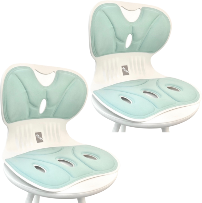 Mirsh [ 1+1 ] 바른자세 등받이 허리보호 자세보정 의자, 그린