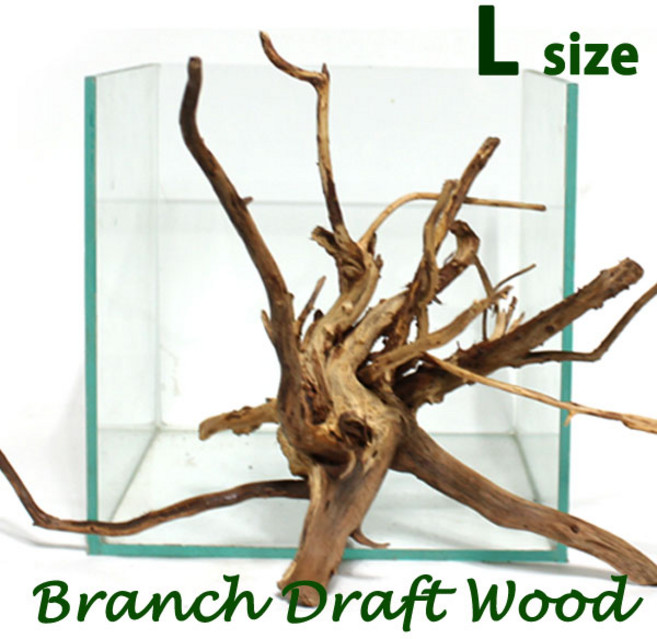 WT 가지유목 L (25~35cm)/ 수족관 어항 장식품 수초 모스 활착 레이아웃 나무 구피 열대어 은신처 뿌리, 1개