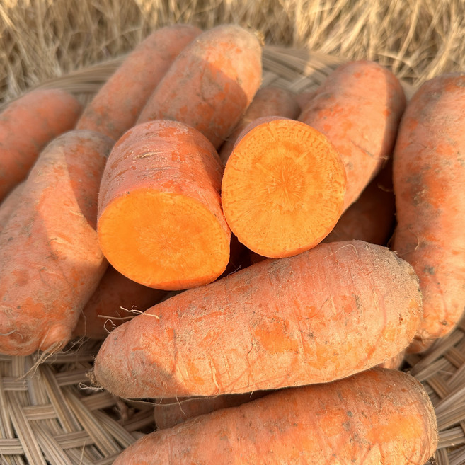 산지직송 국내산 흙당근, 1개, 중사이즈 1kg