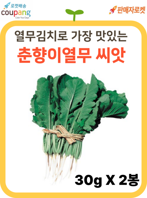 씨드림몰 춘향이 열무 씨앗 남도 춘하 종자 텃밭 주말농장, 2개