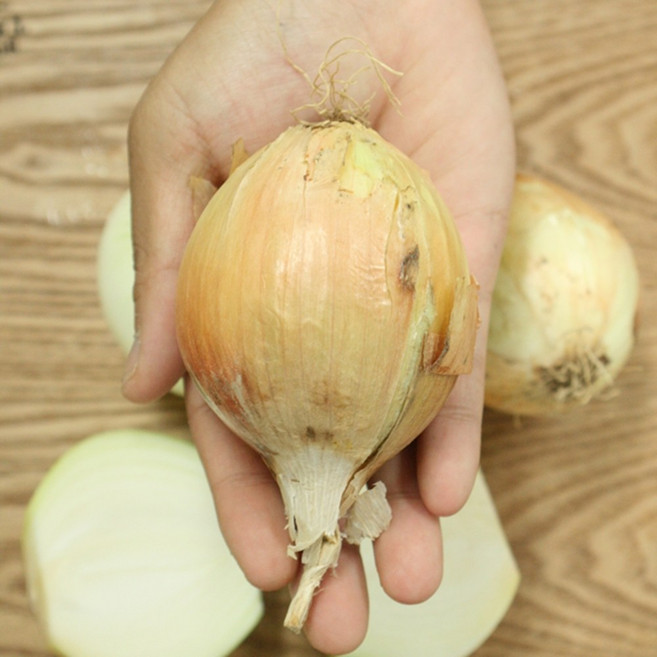 국내산 2019년 한끼양파 4kg, 1개