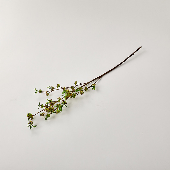 [모던하우스]플룻 베리스프레이_AF0122003, 1개