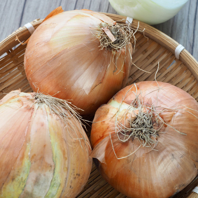 국내산 무안양파 햇양파 자색양파, 1개, 자색양파 5kg