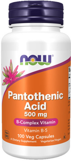 나우푸드 판토텐산 500mg 베지 캡슐, 100정, 1개