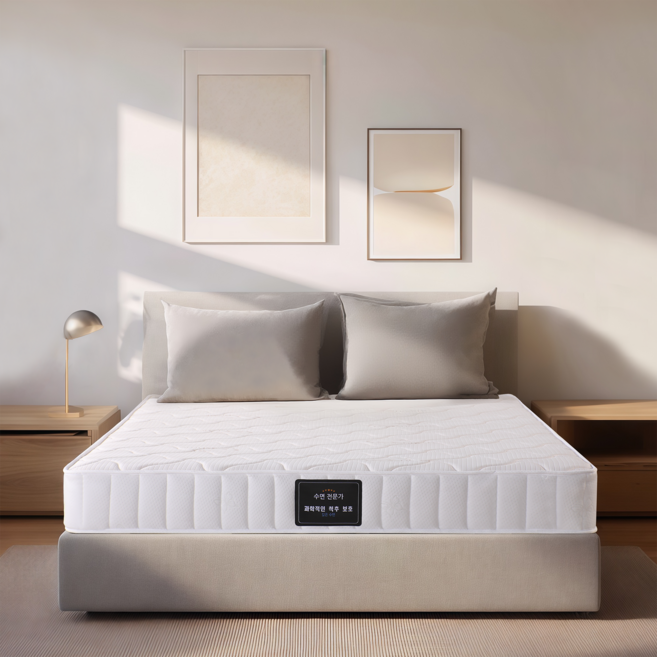 YEAAYE 두꺼운 메모리폼 독립 스프링 매트리스, 25cm