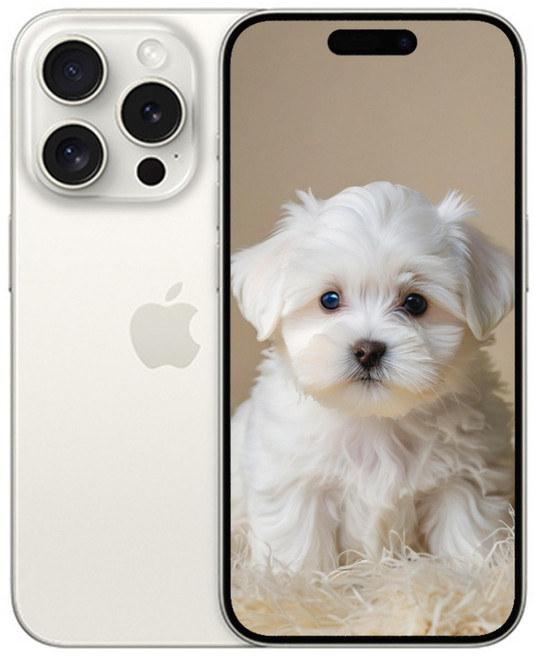 아이폰 15 프로 새제품 정품 128GB, 화이트 티타늄