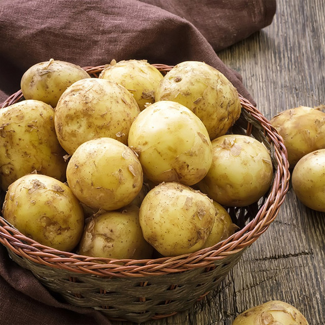 2025 포근포근 국내산 햇 수미감자 소/조림용, 1개, 5kg