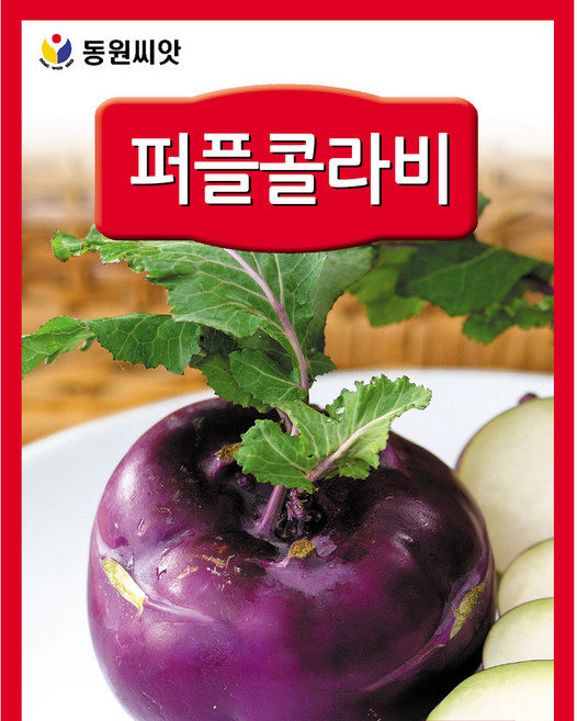 영농사 <동원 퍼플 콜라비 씨앗 500립> 콜라비씨, 10개