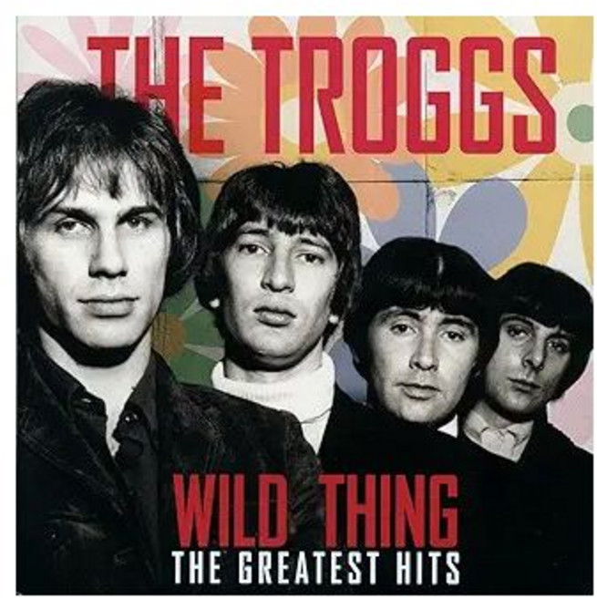(수입 LP) Troggs The Wild Thing The Greatest Hits LP
