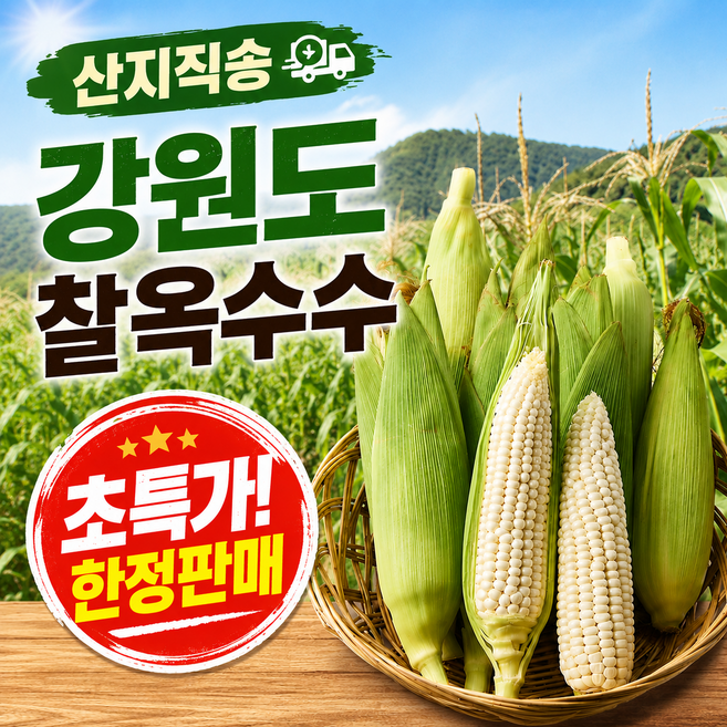 [초특가 한정판매] 찰 옥수수 강원도 산지직송 국내 갓 수확, 5개, 상품