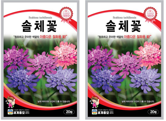 솔체꽃 씨앗 꽃씨 20립 꽃씨앗 세계종묘 모칸도, 2개