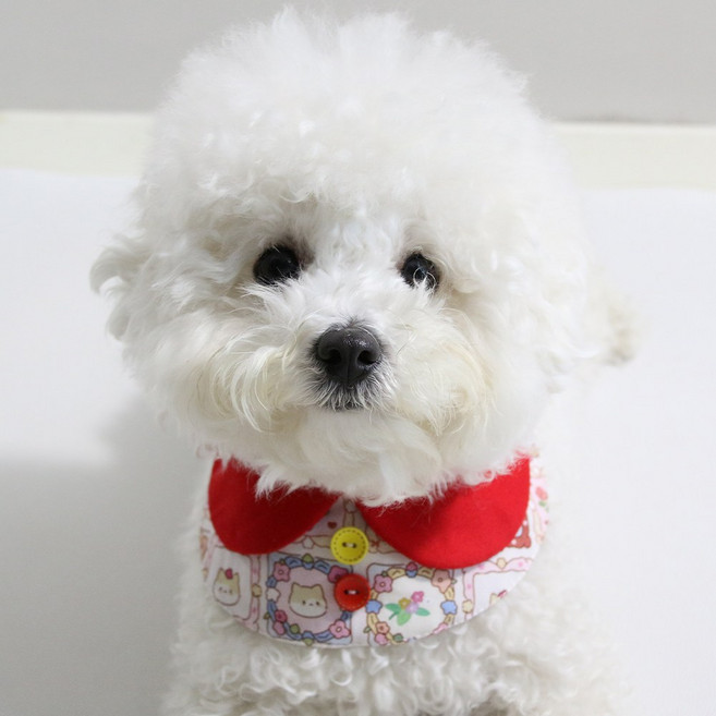 드림계곡 강아지 귀여운 카툰 무늬 케이프, 1개, 빨간색