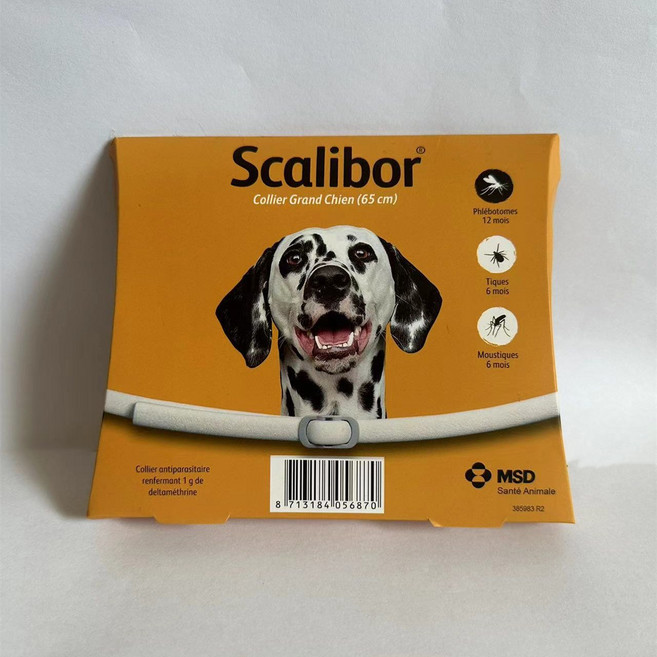 돌단비 강아지 유전자 검사 키트 혈통 DNA 테스트, 1개