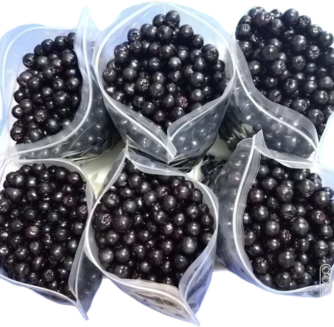 특품 줄기제거 햇아로니아생과 3kg 5kg 10kg 선물용 에어세척후 1kg씩 포장, 생과3kg(1kg x3봉지)