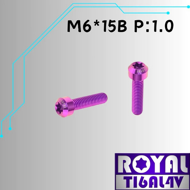 ROYAL 鈦合金 M6*15B P:1.0 錐形螺絲, 1個