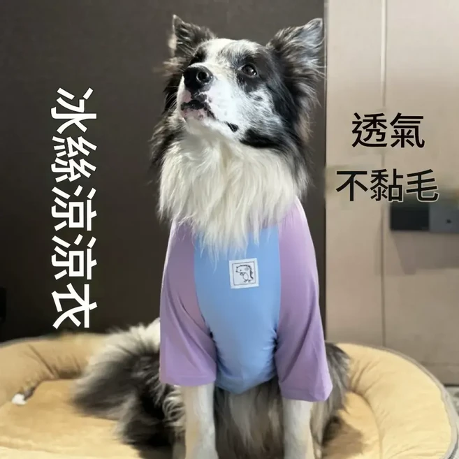 大型犬 夏季冰絲涼感防曬衣, 插肩袖藍身紫袖, 1個