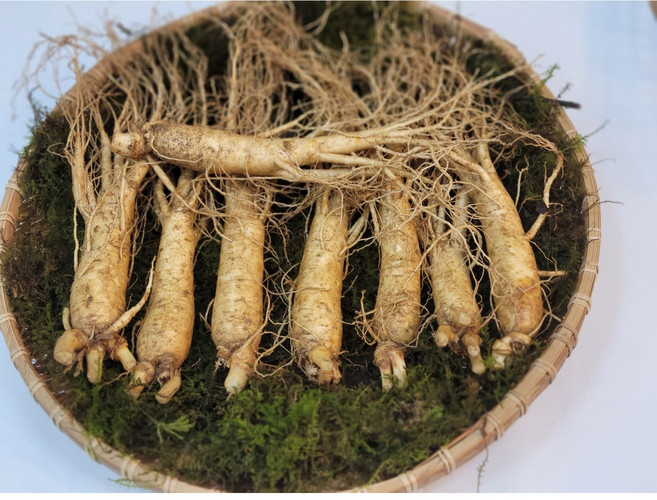 풍기인삼 6년근 실속형인삼 국내산수삼 500g 1kg 믹서용 가정용 홍삼용 선물용, 실속형6년근 중 500g(8~12뿌리), 1개