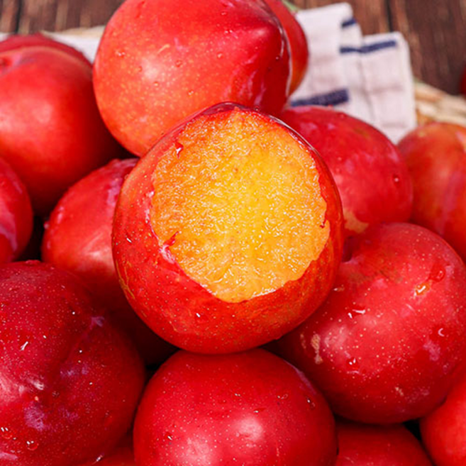 한정특가 우수농가 고당도 자두 당도선별, 1박스, 2kg (상)