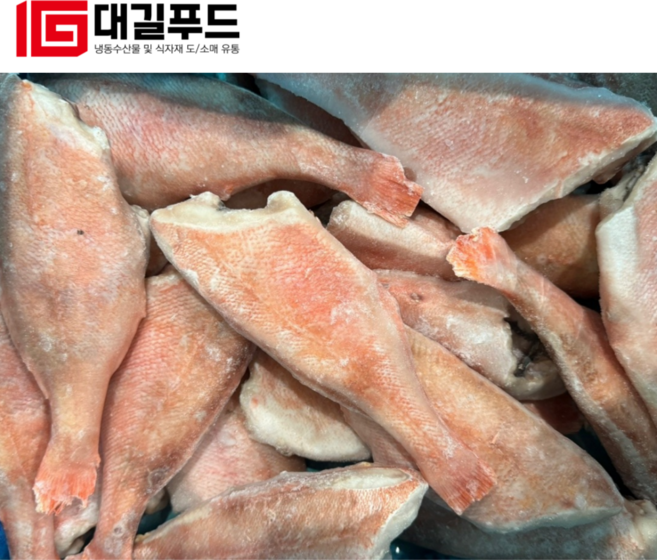 손질 적어 특대 5마리 장문볼락, 1개, 볼락 특대 5마리