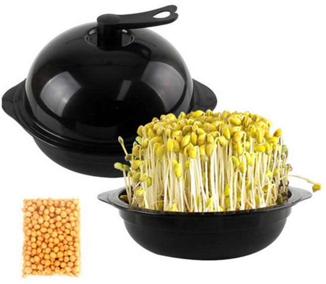 국내산 콩나물재배기, 02-꾸밈 콩나물재배기+콩증정, 1개