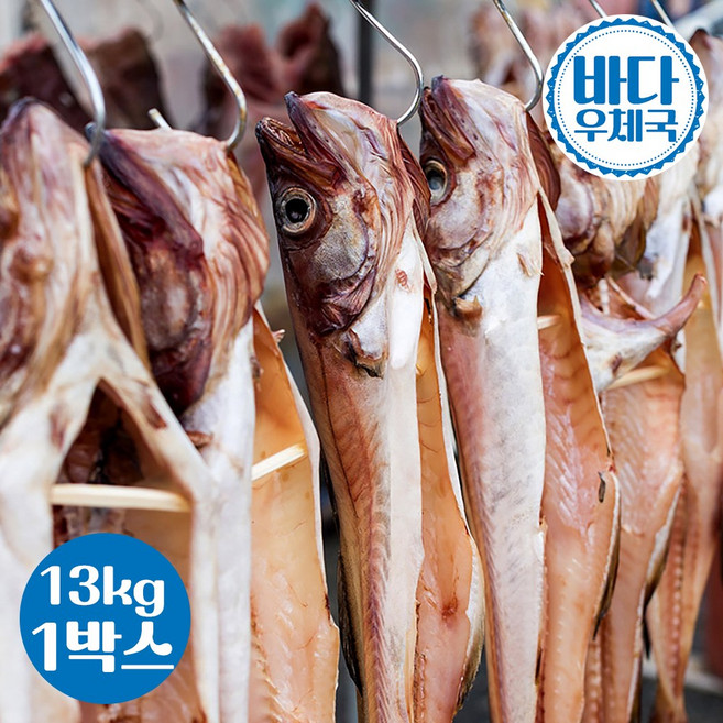 바다우체국 반건조 코다리 1박스 13~15kg 속초 국내가공 식당 업소용 도매판매, 왕특대 32미(49cm 이상)