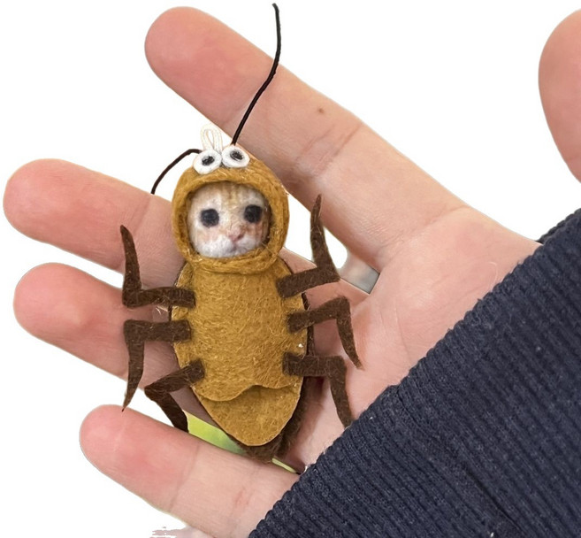억울한 고양이 인형 봉제, 바퀴벌레