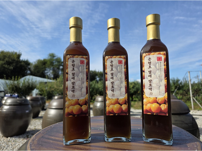 은행식초 8년숙성 은행열매초 발효액 500ml, 3개