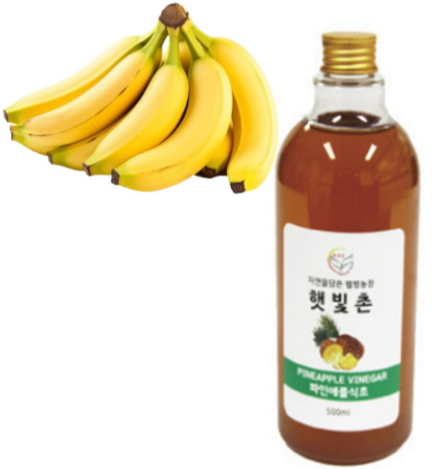 GREEN 햇빛촌 자연발효 수제 과일 바나나 식초, 1개, 1L