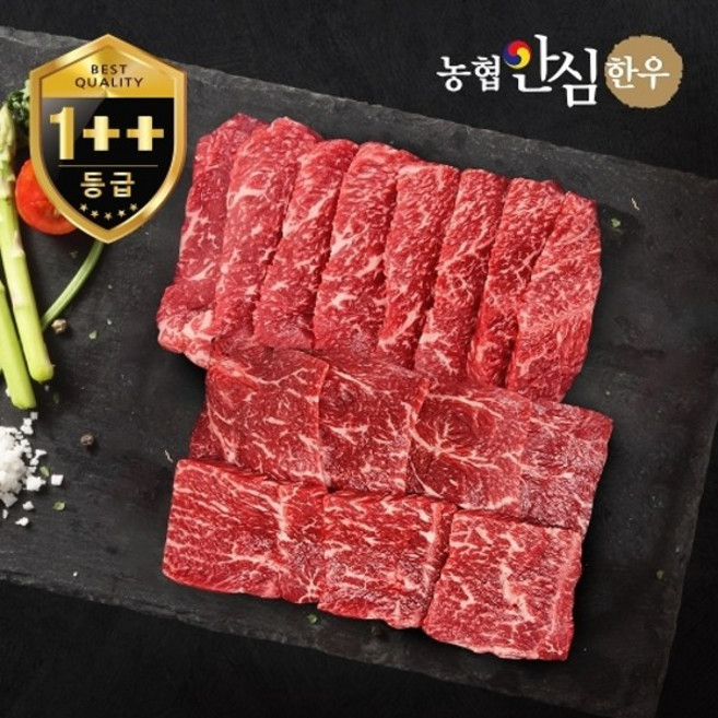 기타 [농협안심한우] 1++등급 한우 모둠구이 한판 400g (보섭+설깃), 1박스