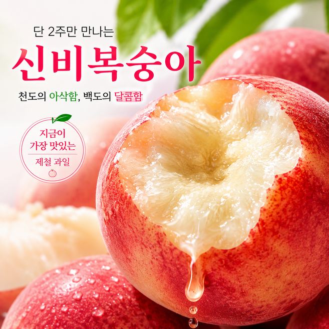 [1일한정판매] 제철 고당도 신비복숭아 당일수확 산지직송, 1박스, 1kg