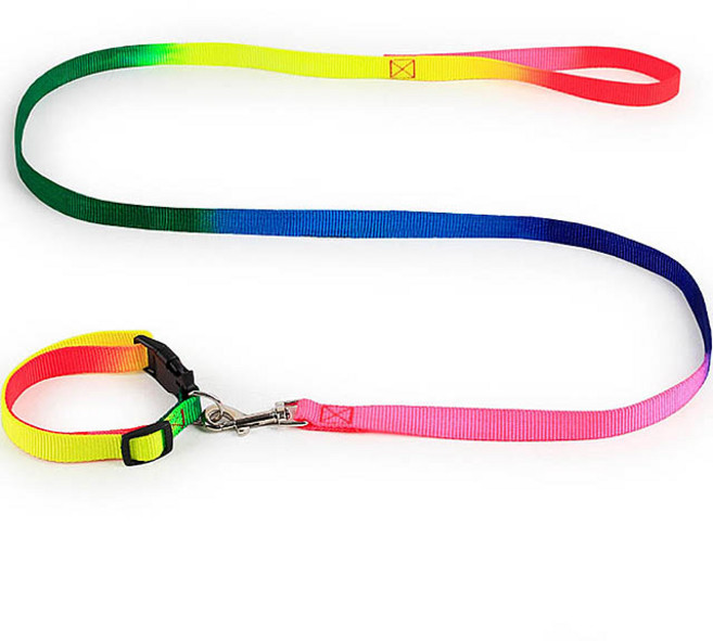 본사직판 레인보우 아기 새끼 강아지 목줄 가슴 리드 줄, 1세트, (V204)목줄 레인보우 1.0cm 테이프형
