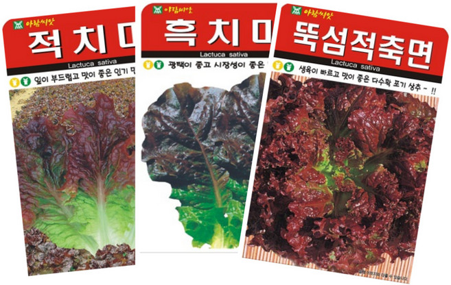 모둠 상추 씨앗 2000립 3종 세트 적치마 흑치마 뚝섬적축면, 1개